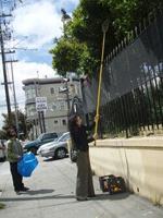 SF Glean Harvests Unloved Fruit, Gives It to Those Who Need It