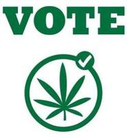 1175989_1146043_marijuana_vote_logo.jpg_thumb_540x584_thumb_250x270