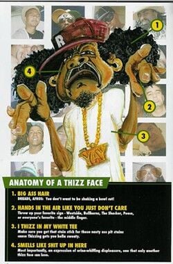 anatomy_of_a_thizz_face