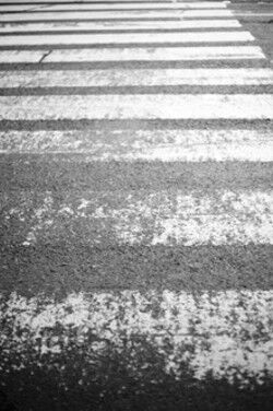 crosswalk_thumb_250x374_thumb_250x374_thumb_250x374_thumb_250x374_thumb_222x332