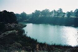 6695869967_699ae0fda6