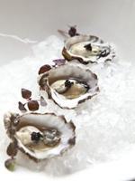 An Oysterrific Follow-Up to ICHI Sushi + NI Bar Is Coming!