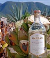 Amaras Mixes Mezcal with Sustainability