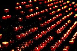 13794997113_cebb318a6c_z