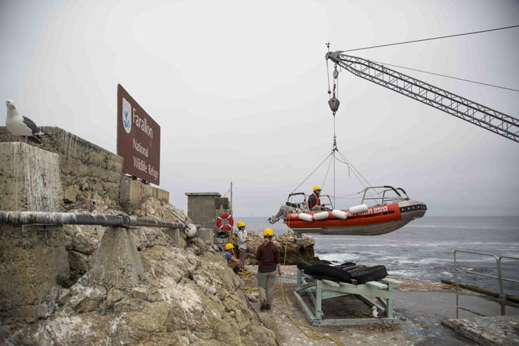 32527515128_0dd710d7fc_k (1)