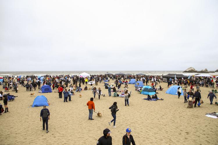 CorgiCon Summer at Ocean Beach, June 15, 2019