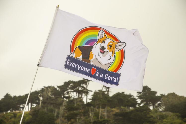 CorgiCon Summer at Ocean Beach, June 15, 2019