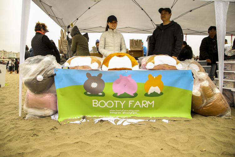 CorgiCon Summer at Ocean Beach, June 15, 2019