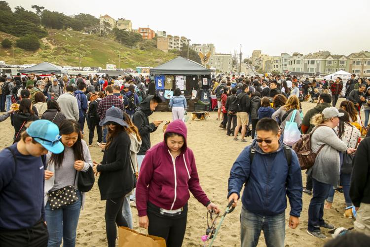 CorgiCon Summer at Ocean Beach, June 15, 2019