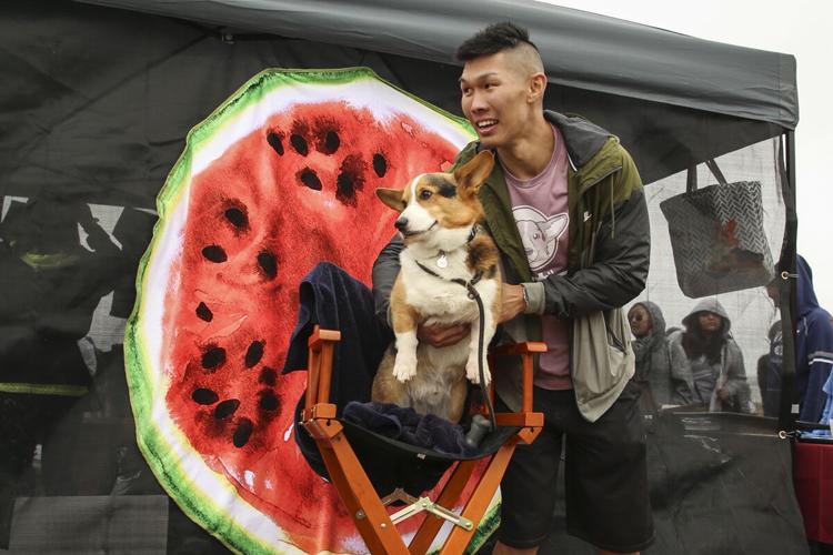 CorgiCon Summer at Ocean Beach, June 15, 2019