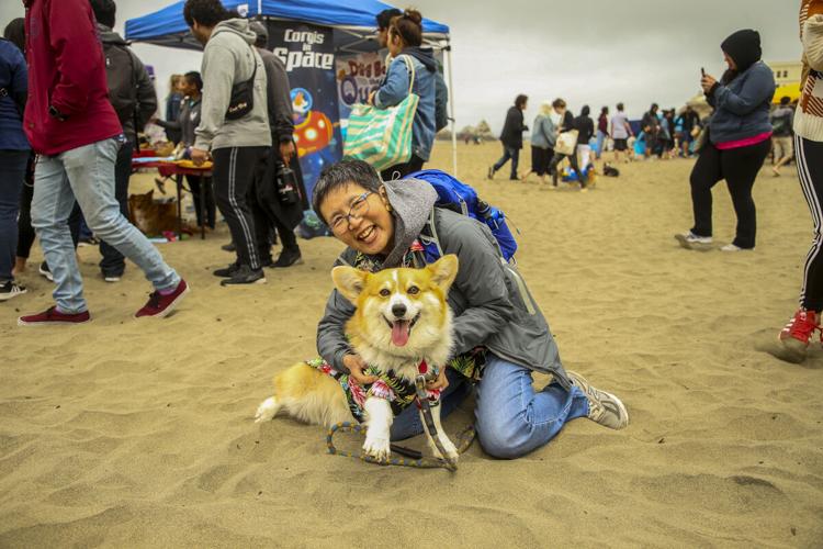 CorgiCon Summer at Ocean Beach, June 15, 2019