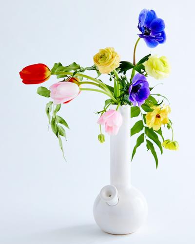 ALEX_SILVA-200229_summerland_still_life_shot13_1067_edit