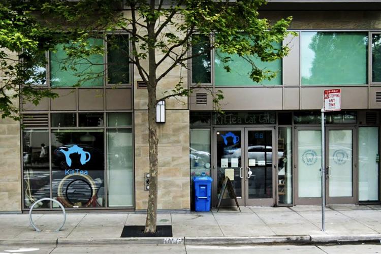 Screen-Shot-2020-09-25-at-11.15.29-AM-copy