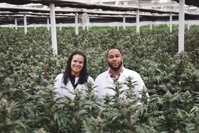 MJ Lifestyle Magazine—Cannabis for all Womankind