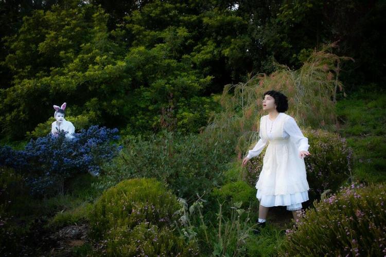 Adventures with Alice