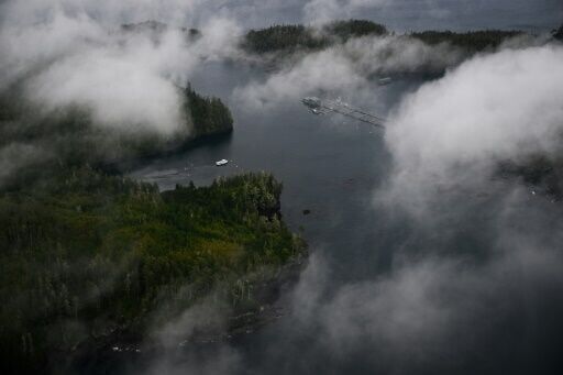 An aerial image shows fish farming in the waterways of the Great Bear Sea north of Vancouver Island
