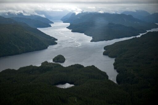 Around Great Bear Sea, overfishing, pollution and warming waters caused by climate change have altered the area substantially