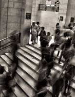 15 Best Free Scammer Phone Number Lookup Service